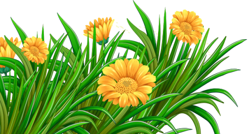 Atividades para Educação Infantil