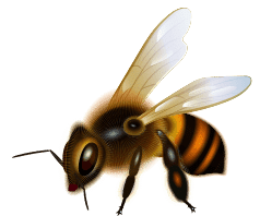 a de abelha blog atividades para educacao infantil de 2 a 8 anos abelha min A de Abelha